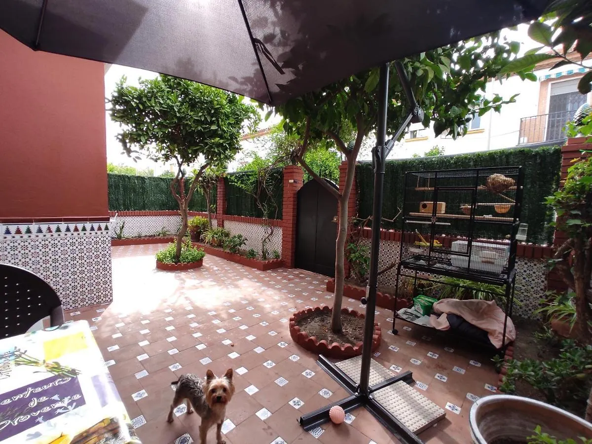 Quarto em Acomodações Particulares Villa Patricia Málaga